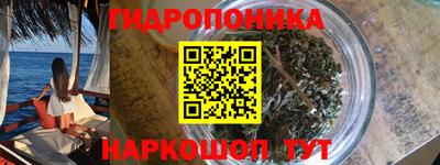 СК Гатчина