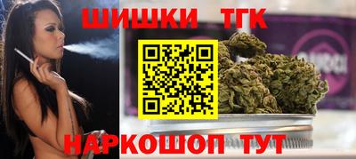 СК Гатчина