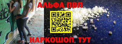 СК Гатчина