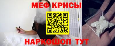 СК Гатчина
