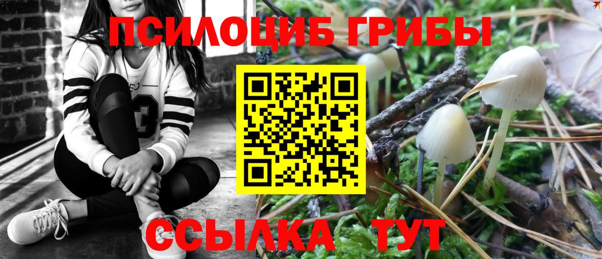 Муром  Псилоцибиновые грибы GOLDEN TEACHER  купить закладку  Галлюциногенные грибы мухоморы  Вход с VPN 
