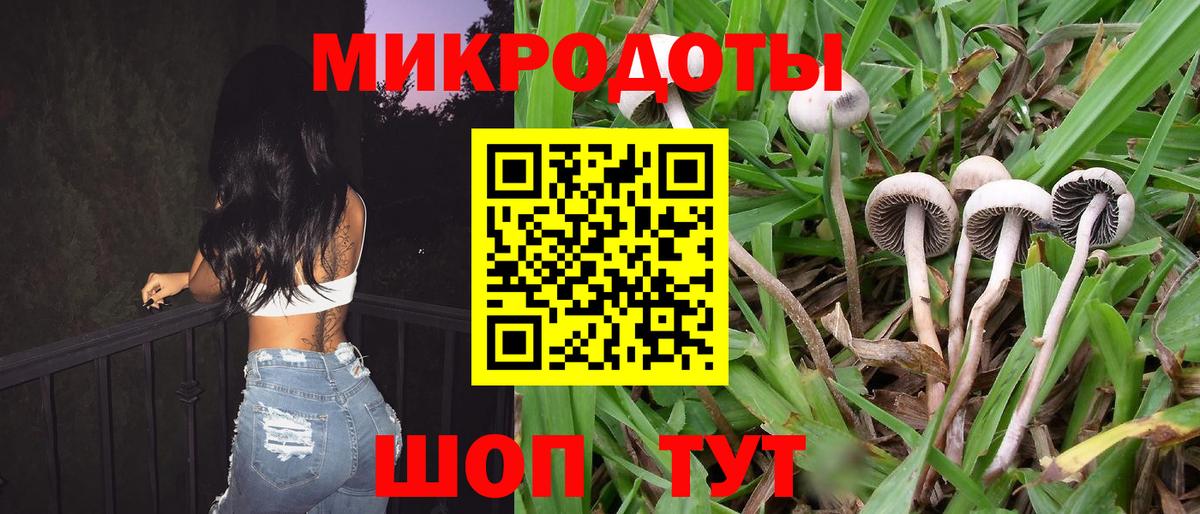 Галлюциногенные грибы MAGIC MUSHROOMS Муром